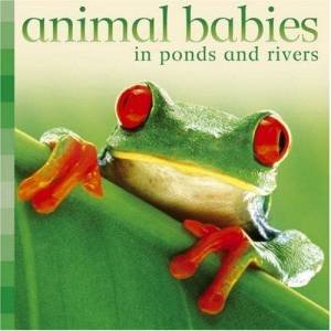 Animal Babies In Ponds And Rivers by Unknown