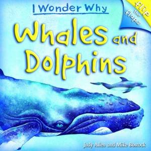 I Wonder Why (Flip The Flaps): Whales And Dolphins by Judy Allen