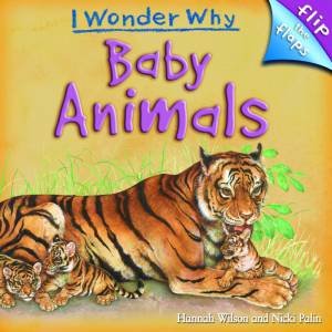 I Wonder Why: Baby Animals by Hannah Wilson