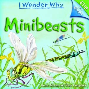 I Wonder Why: Flip the Flaps: Minibeasts by Karen Wallace