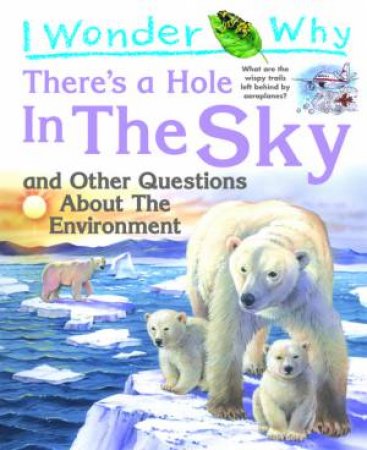 I Wonder Why: There's A Hole In The Sky by Sean Callery