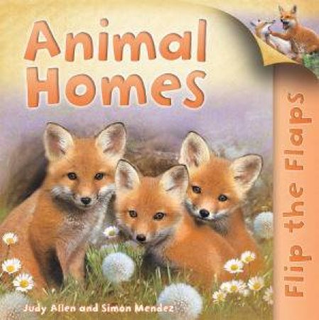 Animal Homes, Flip the Flaps by Judy Allen