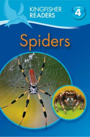 Spiders by Claire Llewellyn