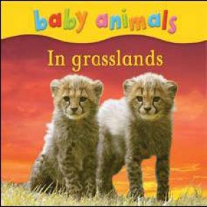 Baby Animals: In Grasslands by None