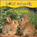 Baby Animals In The Forest