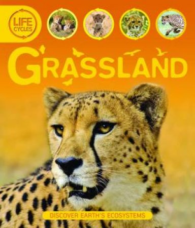 Life Cycles: Grassland by Sean Callery