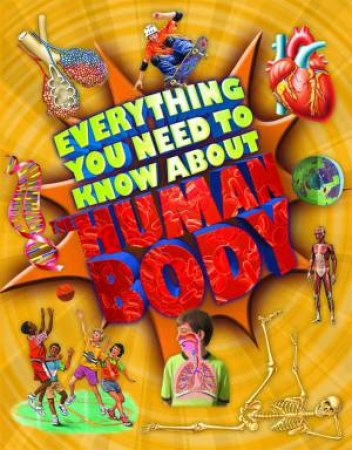 Everything You Need to Know About the Human Body by Patricia MacNair