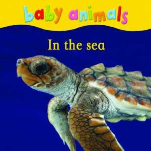 Baby Animals: In the Sea by Various 