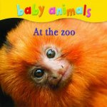 Baby Animals At the Zoo