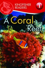 Kingfisher Readers Level 1 Coral Reefs