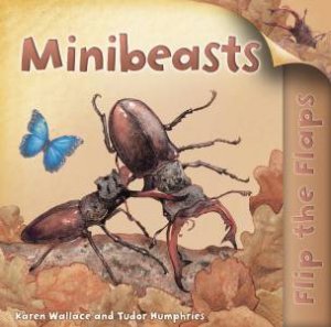 Flip the Flaps: Minibeasts by Karen Wallace & Tudor Humphries 