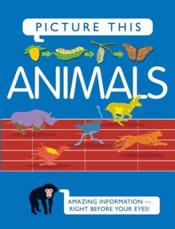 Picture This: Animals by Margaret Hynes