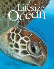 Lifesize Ocean