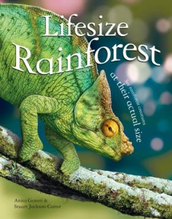 Lifesize Rainforest by Anita Ganeri