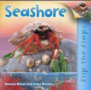 Flip the Flaps: Seashore by Hannah Wilson