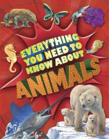 Everything You Need to Know About Animals by Nicola Davies