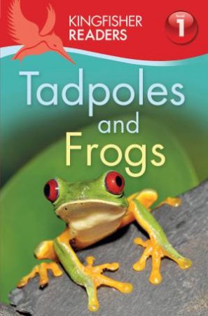 Tadpoles and Frogs by Thea Feldman