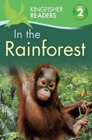 In the Rainforest by Claire Llewellyn