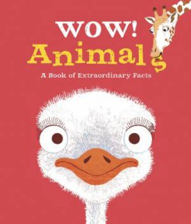 Wow! Animals by Jackie McCann