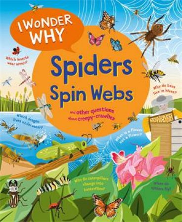 I Wonder Why Spiders Spin Webs by Amanda O'Neill