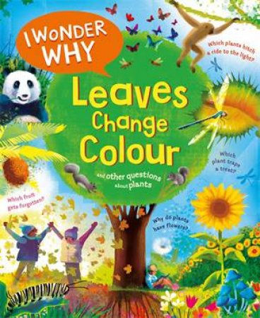 I Wonder Why Leaves Change Colour by Andrew Charman