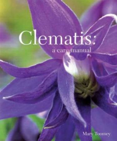 Clematis by Various