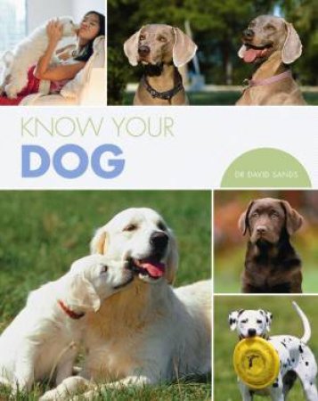 Know Your Dog by David Sands