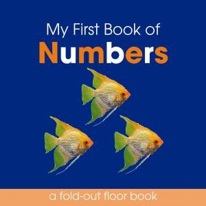 My First Book of Numbers by Various