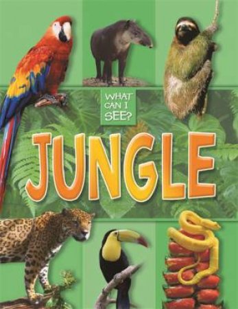 What Can I See?: Jungle by Various