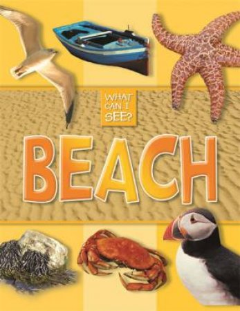 What Can I See?: Beach by Various 