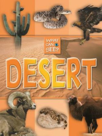 What Can I See?: Desert by Various