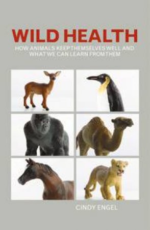 Wild Health: How Animals Keep Themselves Well by Cindy Engel