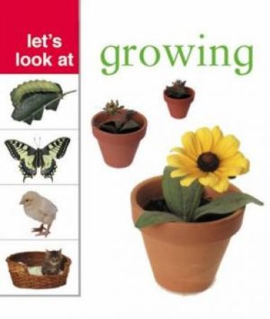 Let's Look At: Growing by Nicola Tuxworth