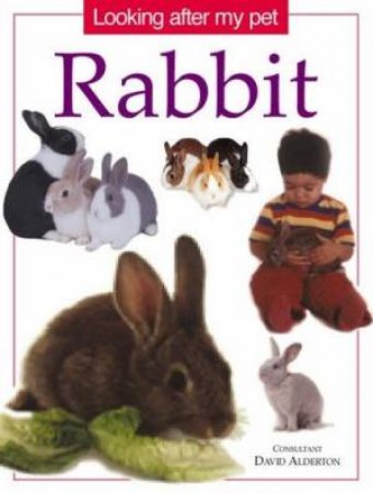 Looking After My Pet Rabbit by David qAlderton