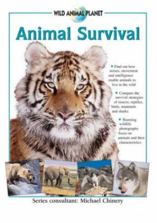 Wild Animal Planet: Animal Survival by Various