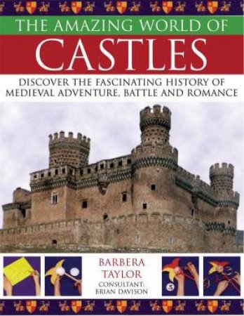 The Amazing World Of Castles by Barbara Taylor