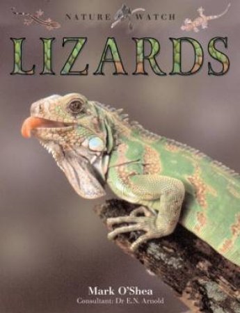 Nature Watch: Lizards by Mark O'Shea