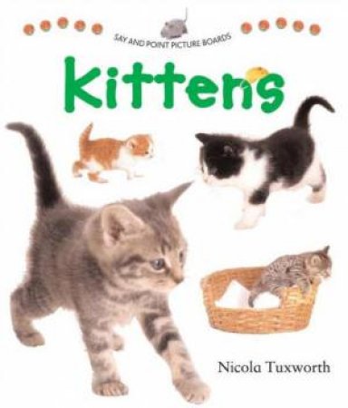 Say And Point Picture Boards: Kittens by Nick Tuxworth