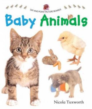 Say And Point Picture Boards: Baby Animals by Nicola Tuxworth