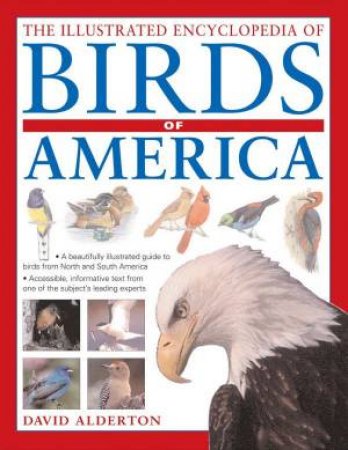 The Illustrated Encyclopedia Of Birds Of America by David Alderton