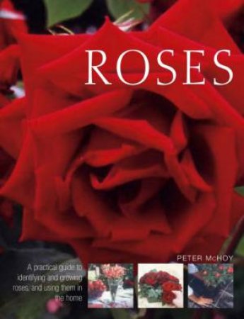 Roses: A Practical Guide by Peter McHoy