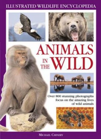 Animals In The Wild by Michael Chinery