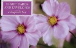 Tin Box Pink Cosmos  20 Gift Cards  Envelopes