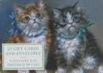 Tin Box Paintings of Cats  20 Gift Cards  Envelopes