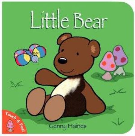 Touch and Feel Little Bear by Haines, Genny