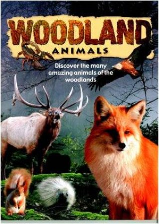 Woodland Animals by Various