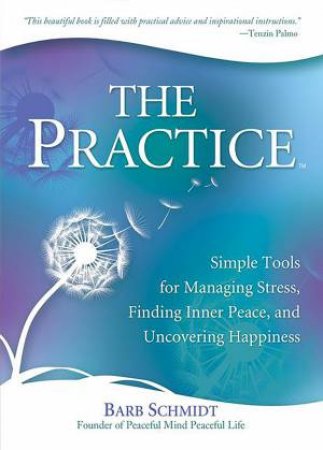 The Practice by Barb Schmidt