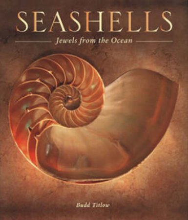 Seashells by Budd Titlow