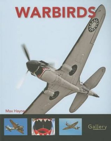 Warbirds by Max Haynes