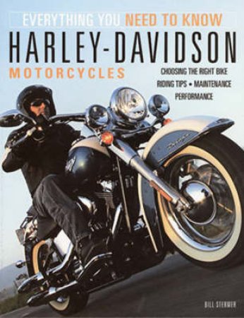 Harley-Davidson Motorcycles by Bill Stermer